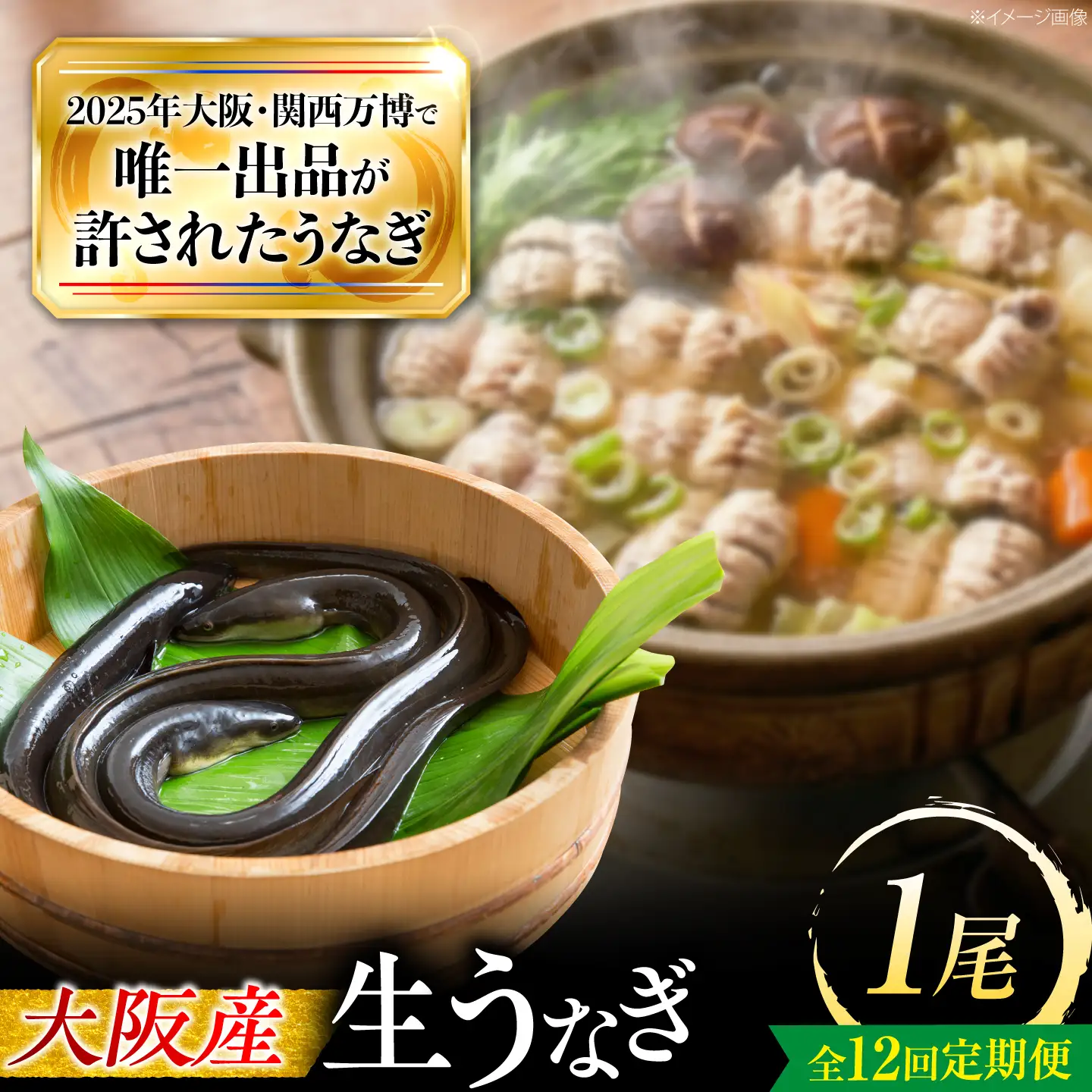 【全12回定期便】 鰻 美陵鰻の生鰻 1尾 / 美陵鰻 鰻 うなぎ ウナギ 蒲焼 蒲焼き かば焼き 白焼き 白焼 肉厚 うな重 うな丼 山椒 国産 スタミナ 土用 丑の日 土用の丑の日 贈答 ギフト / 大阪府藤井寺市/株式会社れいわ水産[BLAL062]