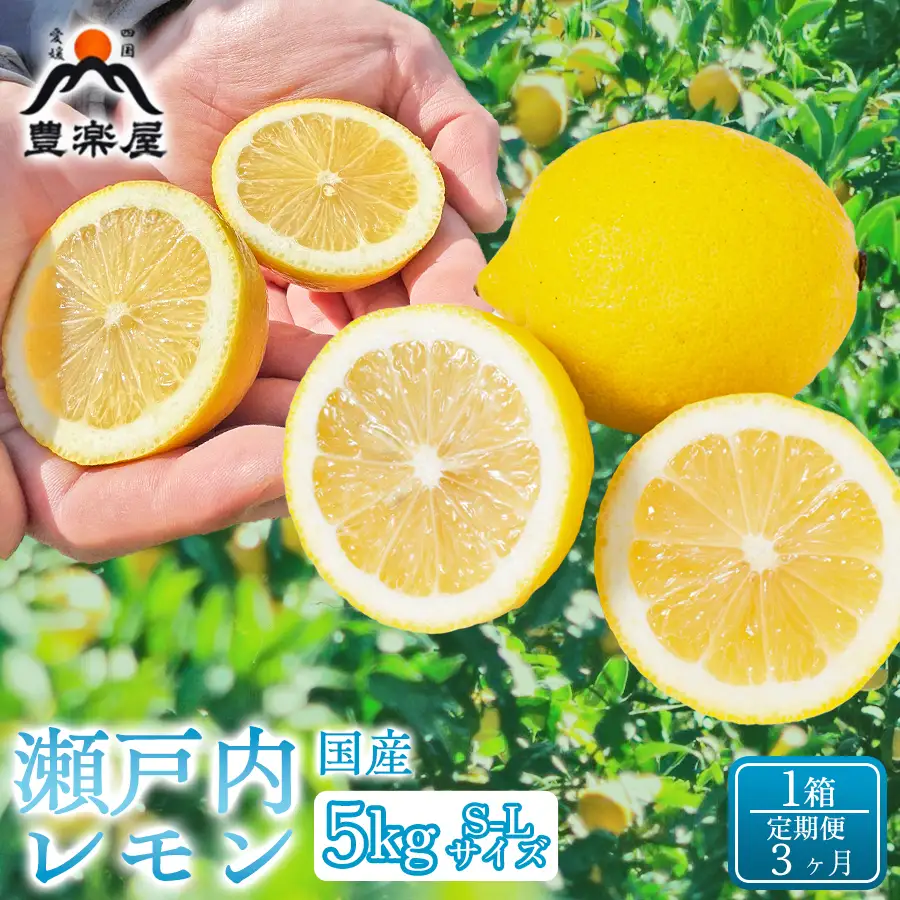 【定期便3ヶ月】【防腐剤・ワックス不使用で安心】真穴産地直送の国産レモン 瀬戸内レモン5kg サイズS~L 1箱 全3回【98-26】YWTBU030