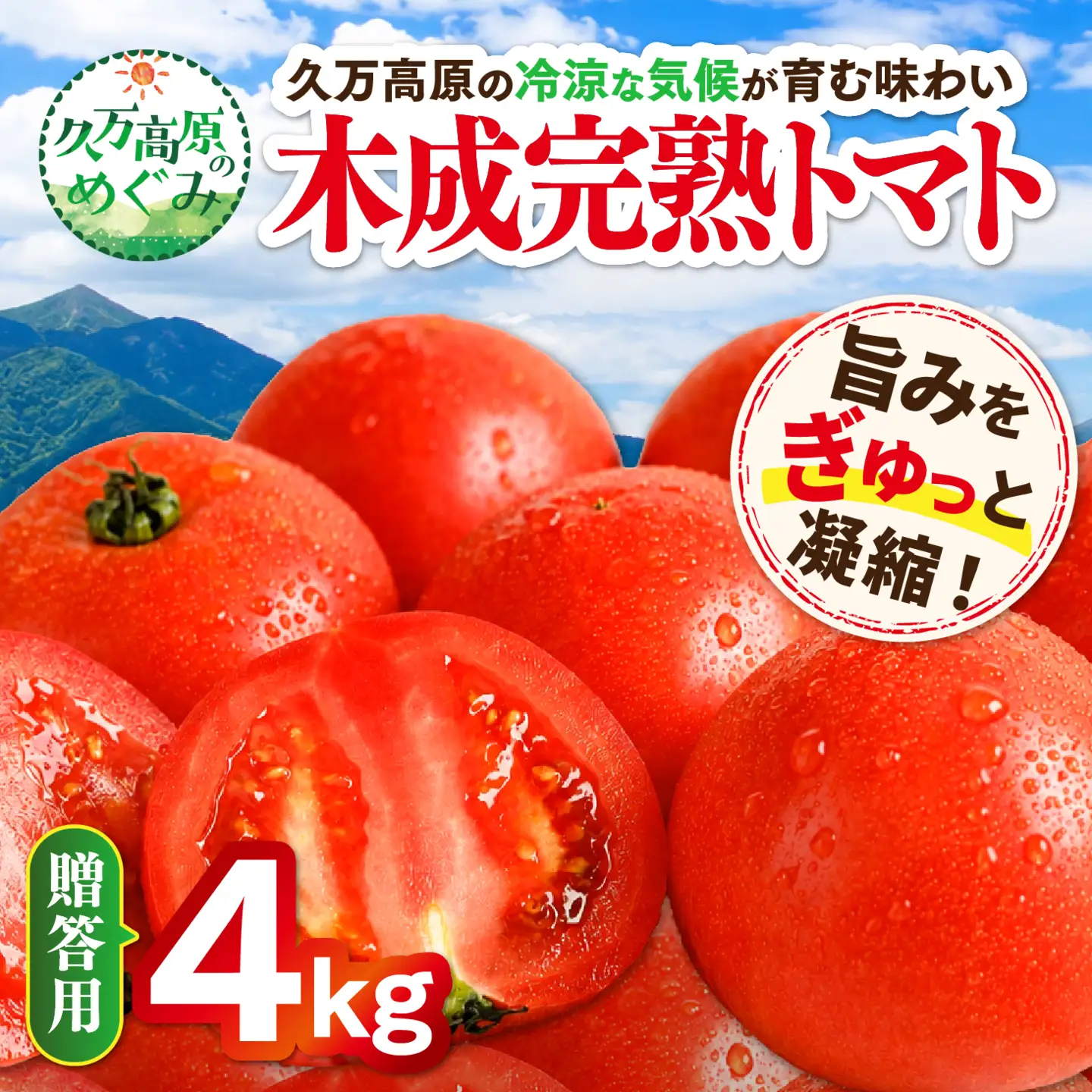 【贈答用】木成り完熟トマト 4kg｜愛媛県久万高原町産 特別栽培 産地直送 旬 夏野菜 甘み 旨み 完熟トマト 新鮮 採れたて ※2026年7月～発送