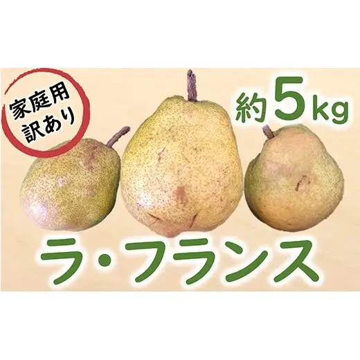 【令和8年産先行予約】 〈訳あり品 家庭用〉 ラ・フランス 約5kg (12～24玉) 《令和8年11月中旬～発送》 『カネタ高橋青果』 ラフランス フルーツ デザート 山形県 南陽市 [2674]
