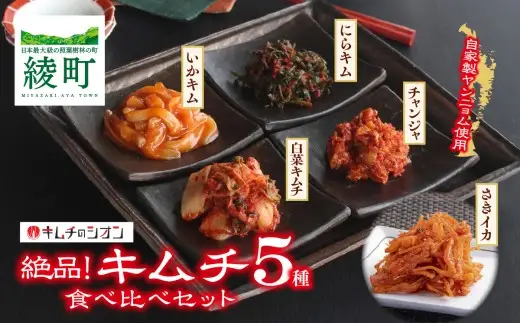 【キムチのシオン】絶品！キムチ 5種 食べ比べセット_A0112-001