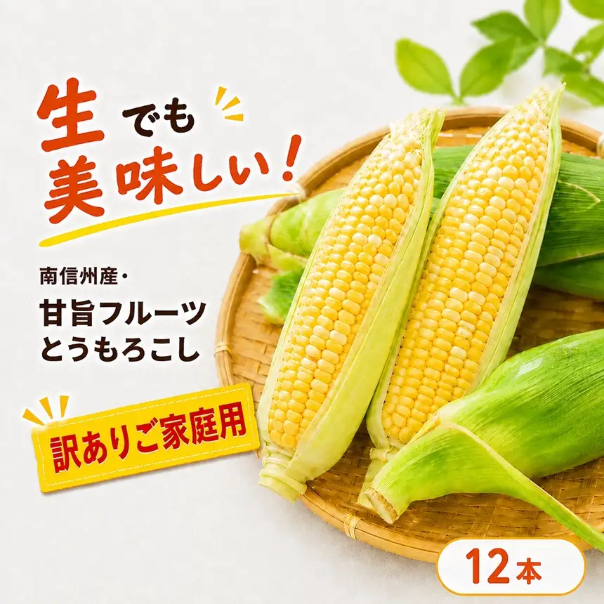 【訳ありご家庭用】 生でも美味しい! 南信州産 ・ 甘旨フルーツ とうもろこし 【12本】＜2026年7月中旬～発送＞| テトテ農園