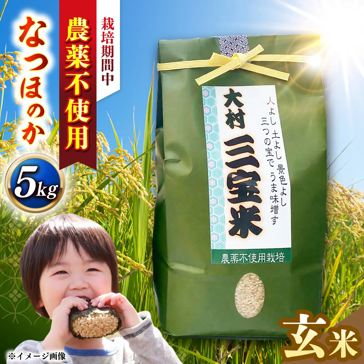 【栽培期間中農薬不使用】R8年度米 玄米 なつほのか 5kg 大村市 たぬき池自然農園/ 米 玄米 5kg[ACCJ001]