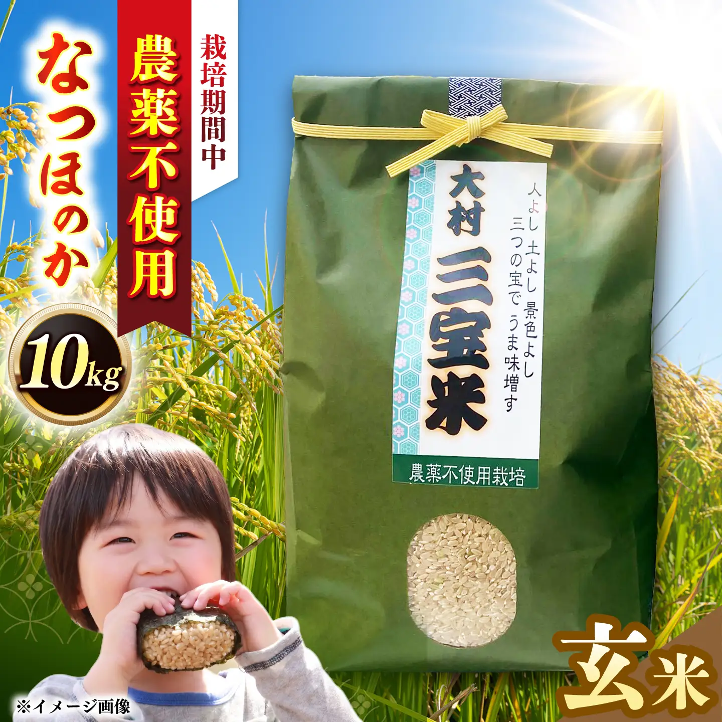 【栽培期間中農薬不使用】R8年度米 玄米 なつほのか 10kg 大村市 たぬき池自然農園/ 米 玄米 10kg[ACCJ002]