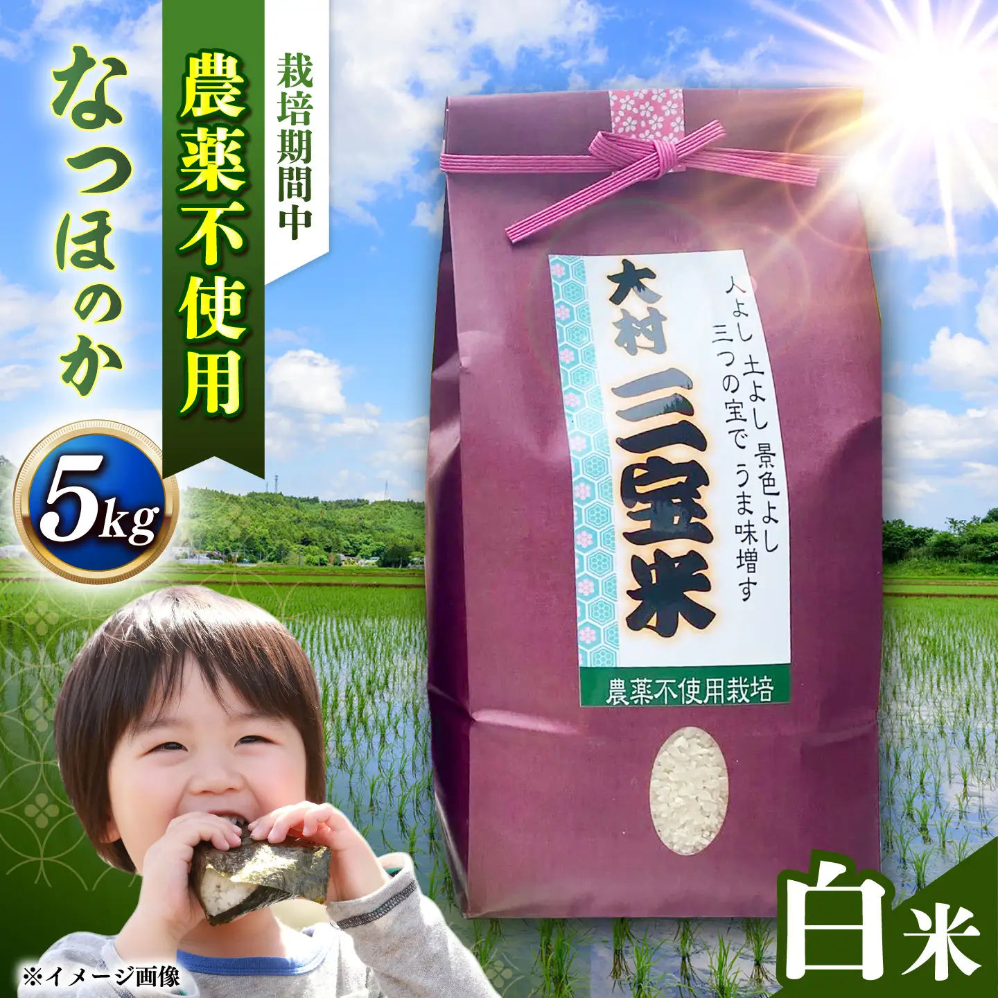 【栽培期間中農薬不使用】R8年度米 白米 なつほのか 5kg 大村市 たぬき池自然農園/ 米 白米 5kg[ACCJ003]