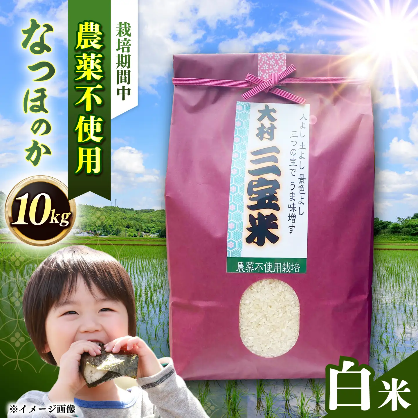 【栽培期間中農薬不使用】R8年度米 白米 なつほのか 10kg 大村市 たぬき池自然農園/ 米 白米 10kg[ACCJ004]
