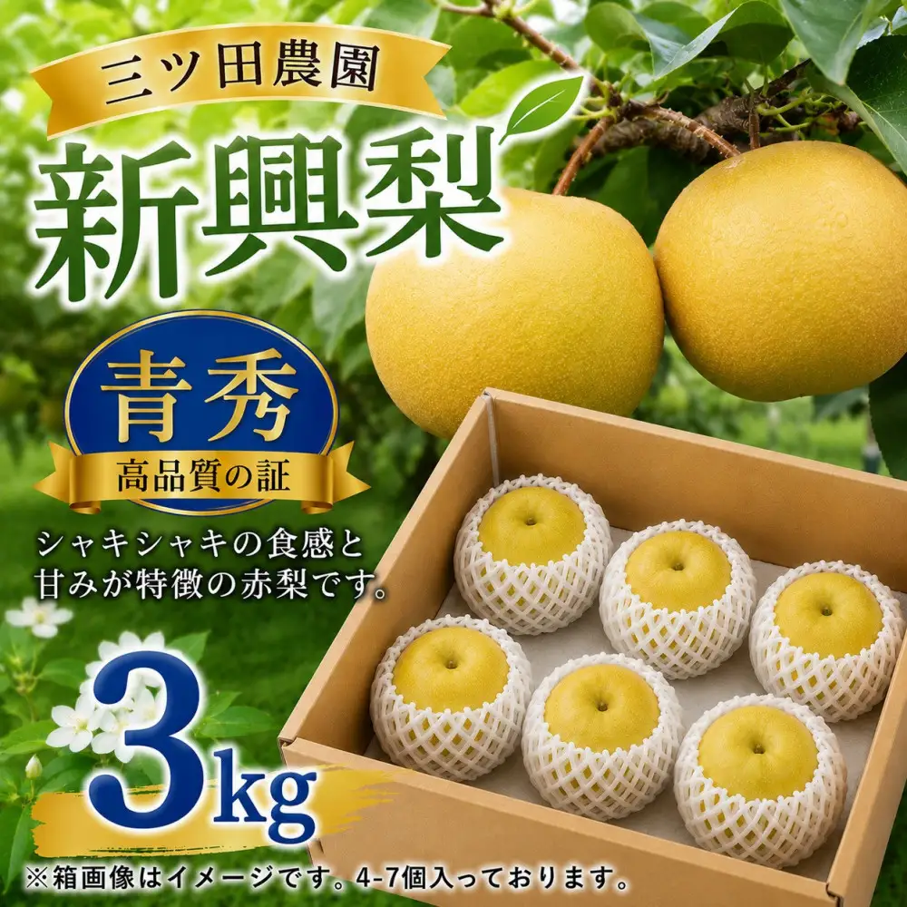【2026年10月頃より発送】三ツ田農園 新興梨 (青秀)自家用3kg