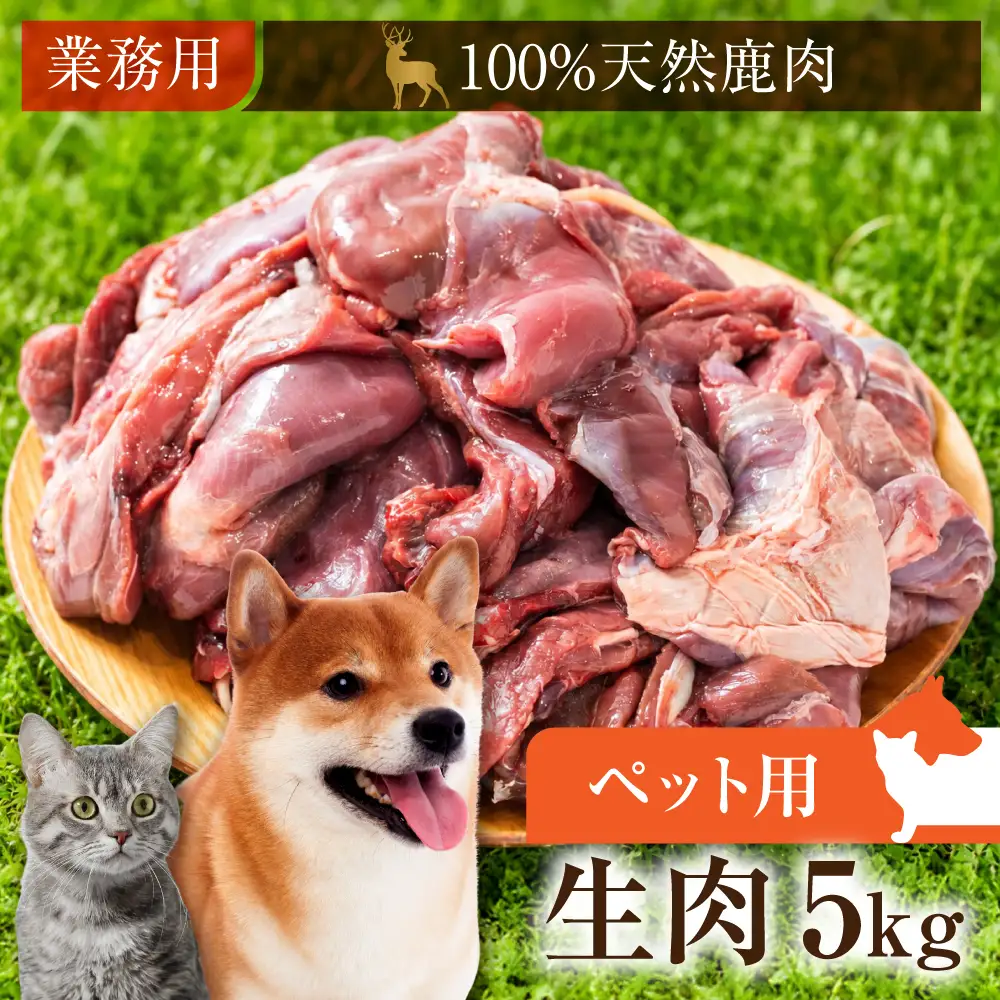 犬猫用 ジビエ 鹿 鹿肉 5kg　生肉 赤身 赤身肉 鹿 シカ 鹿肉 シカ肉 大容量 業務用 ペット 冷凍  20000円 2万円 [mt2199]