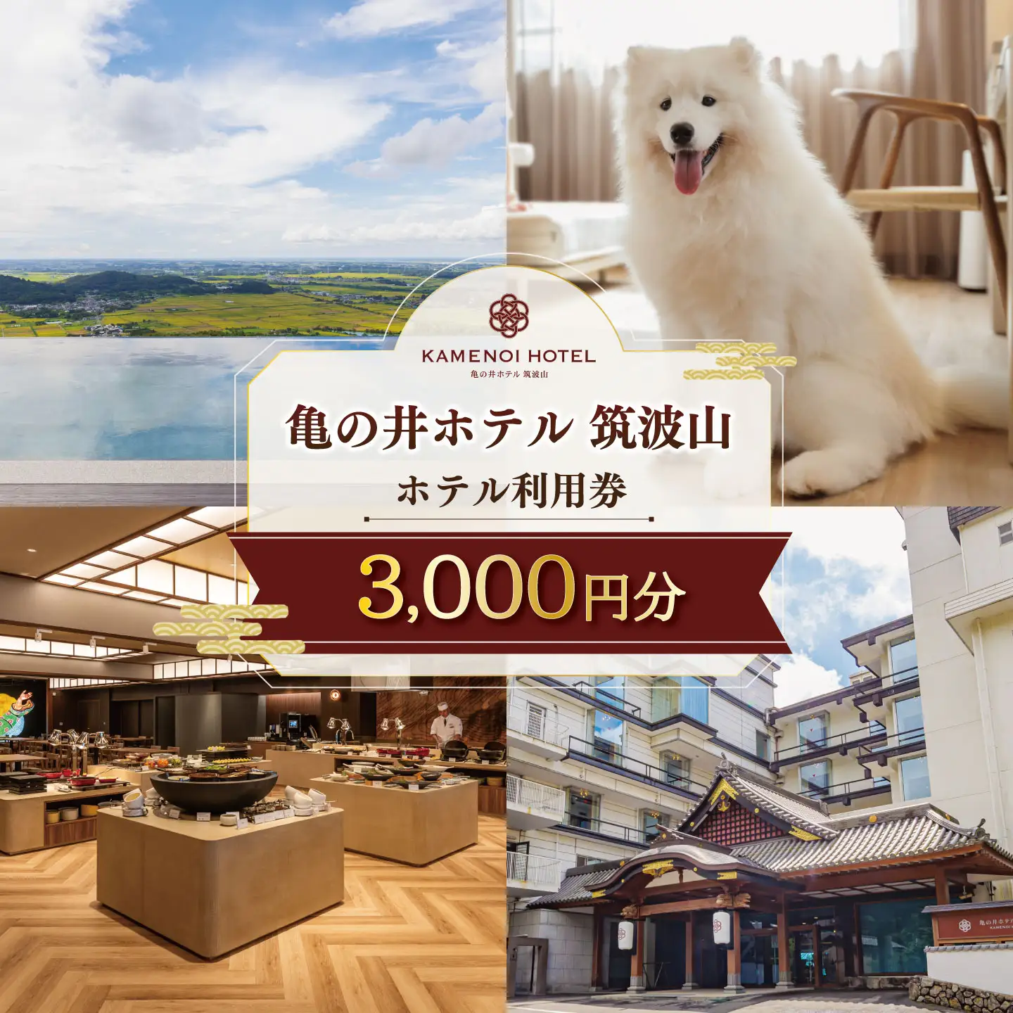 亀の井ホテル 筑波山 ホテル利用券 3,000円 宿泊券 宿泊