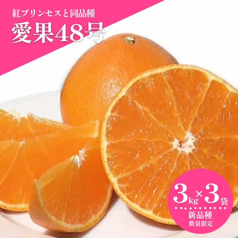 【2027年3月上旬頃から順次発送】 愛果48号 約3kg × 3箱 （紅プリンセスと同品種） ｜みかん あいか フルーツ 愛媛県産 【HMN025】
