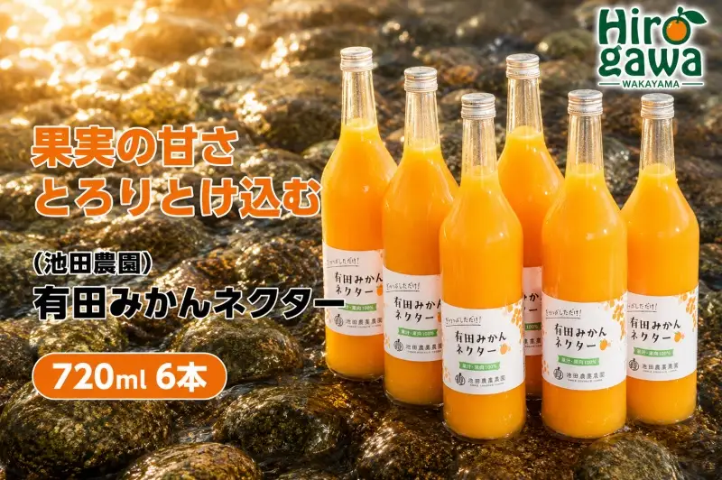 みかん ネクター 100％ ジュース / 温州みかん 有田みかん 果汁 無添加 柑橘 和歌山 18000円 720ml ※北海道・沖縄・離島への配送不可 //drink 【ikd100-to720-6A】