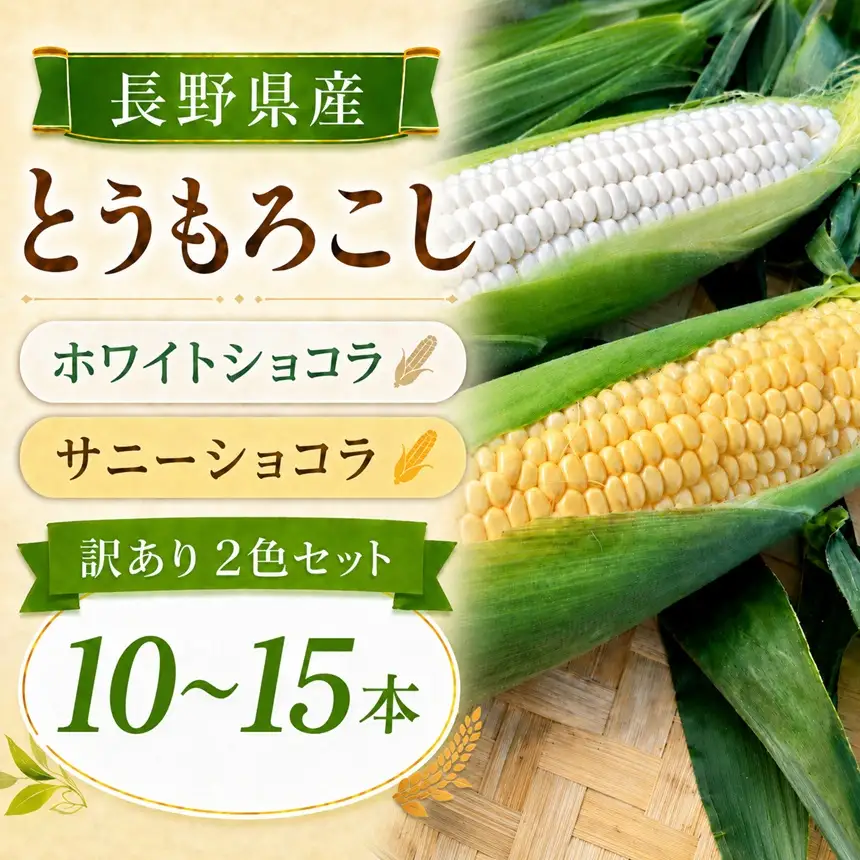 【訳あり】 とうもろこし ホワイトショコラ サニーショコラ 2色セット 10-15本 約5kg | 寺畑農園
