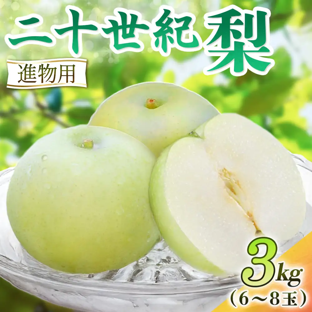 二十世紀梨【進物】3kg（岸田秀果園） 鳥取 梨 果物 フルーツ 和梨 二十世紀梨 20世紀梨 人気 甘い 進物 贈答用