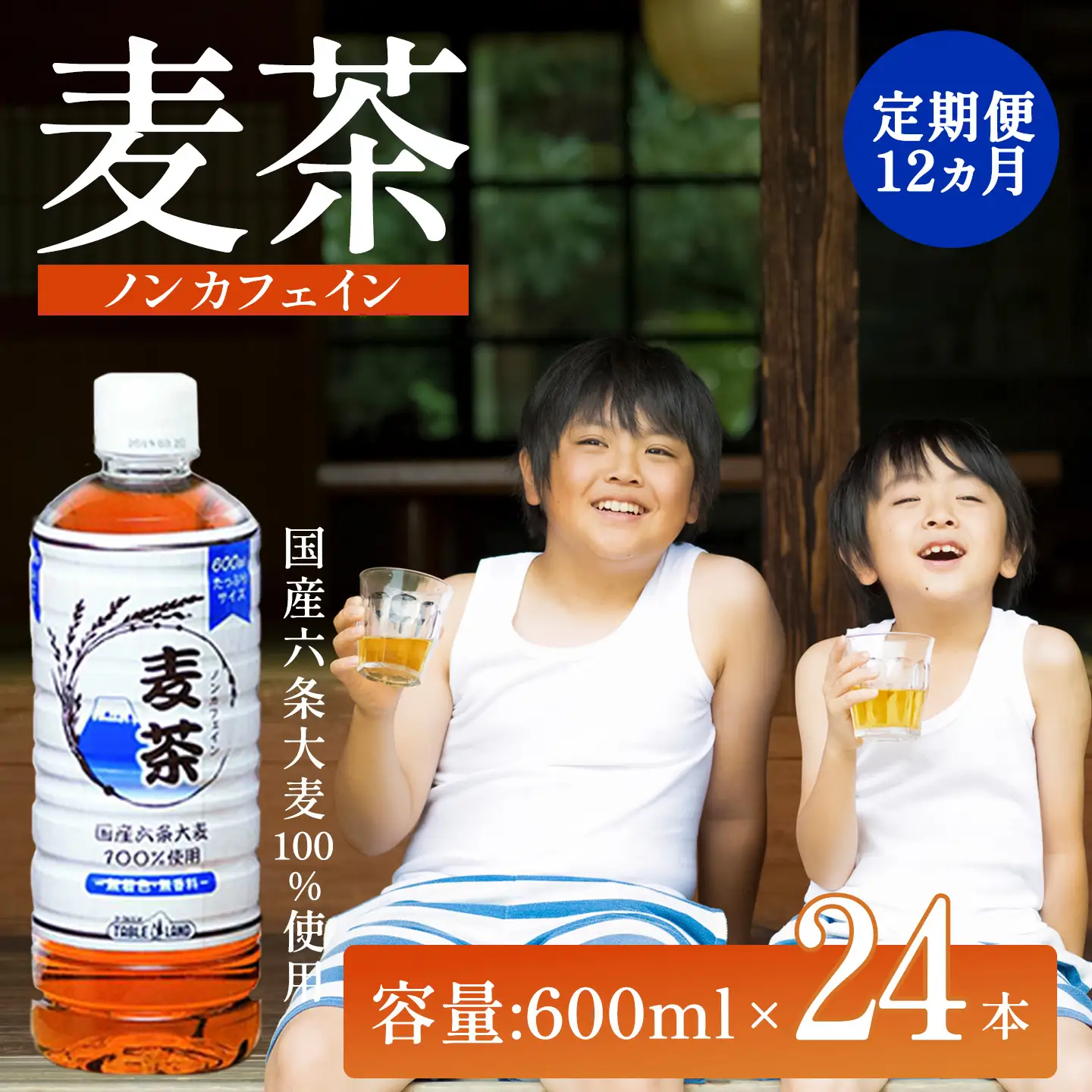 12ヵ月 定期便 ノンカフェイン麦茶 600ml 24本 1箱 麦茶