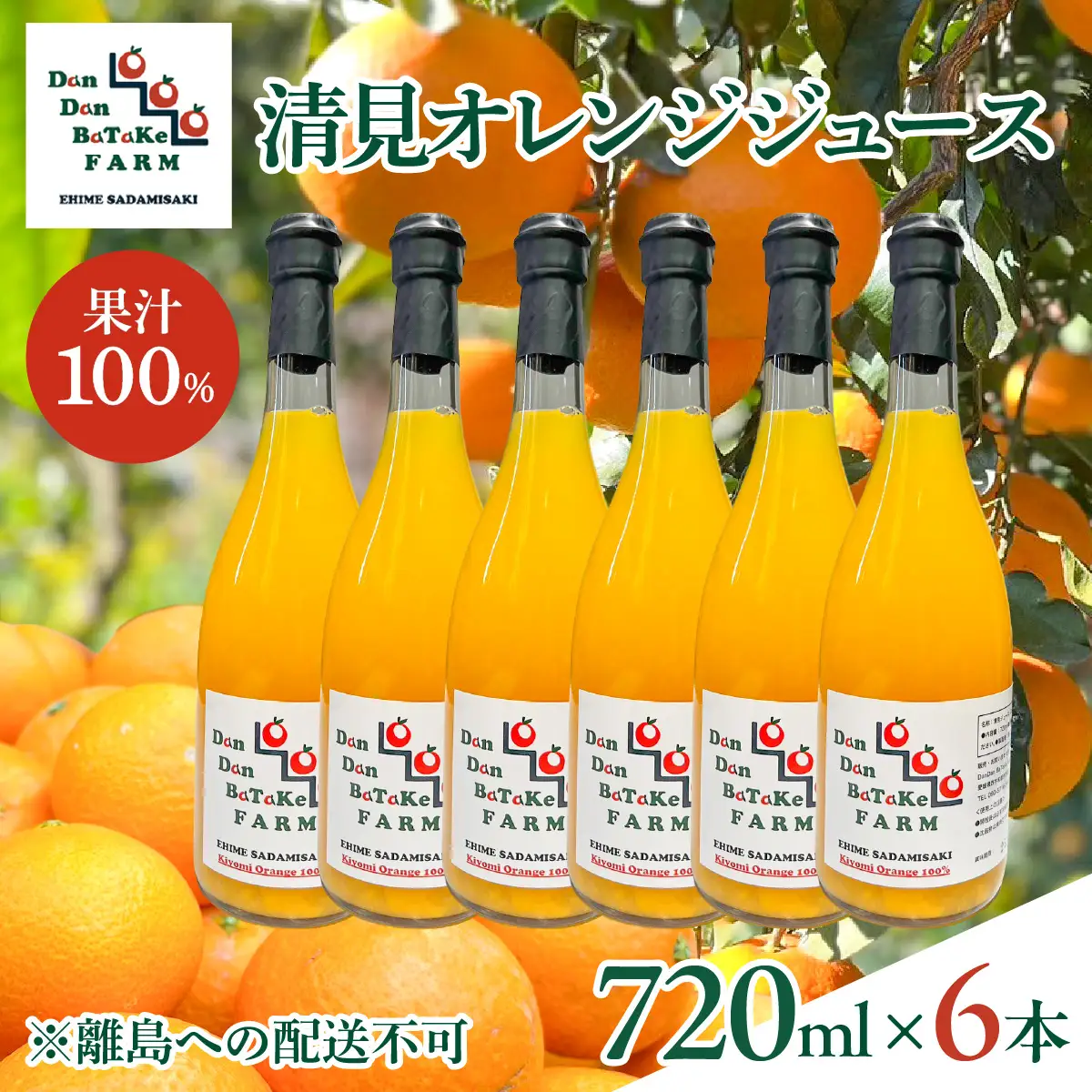 【先行予約】清見オレンジジュース 720ml×6本 ※離島への配送不可　※2027年5月上旬より順次発送予定 IKTAU019