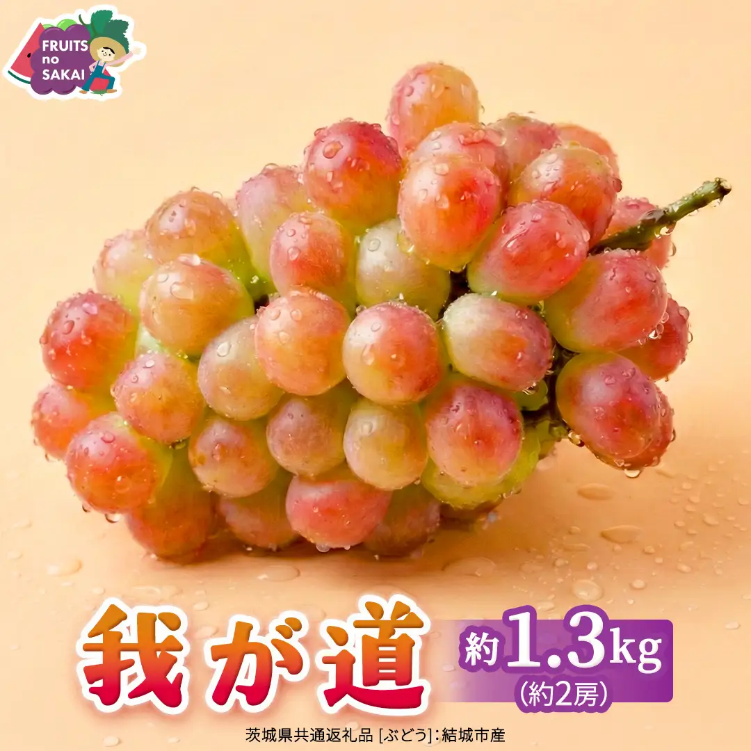 我が道 約1.3kg （約2房）【2026年8月より発送開始】（茨城県共通返礼品 [ぶどう]：結城市産）