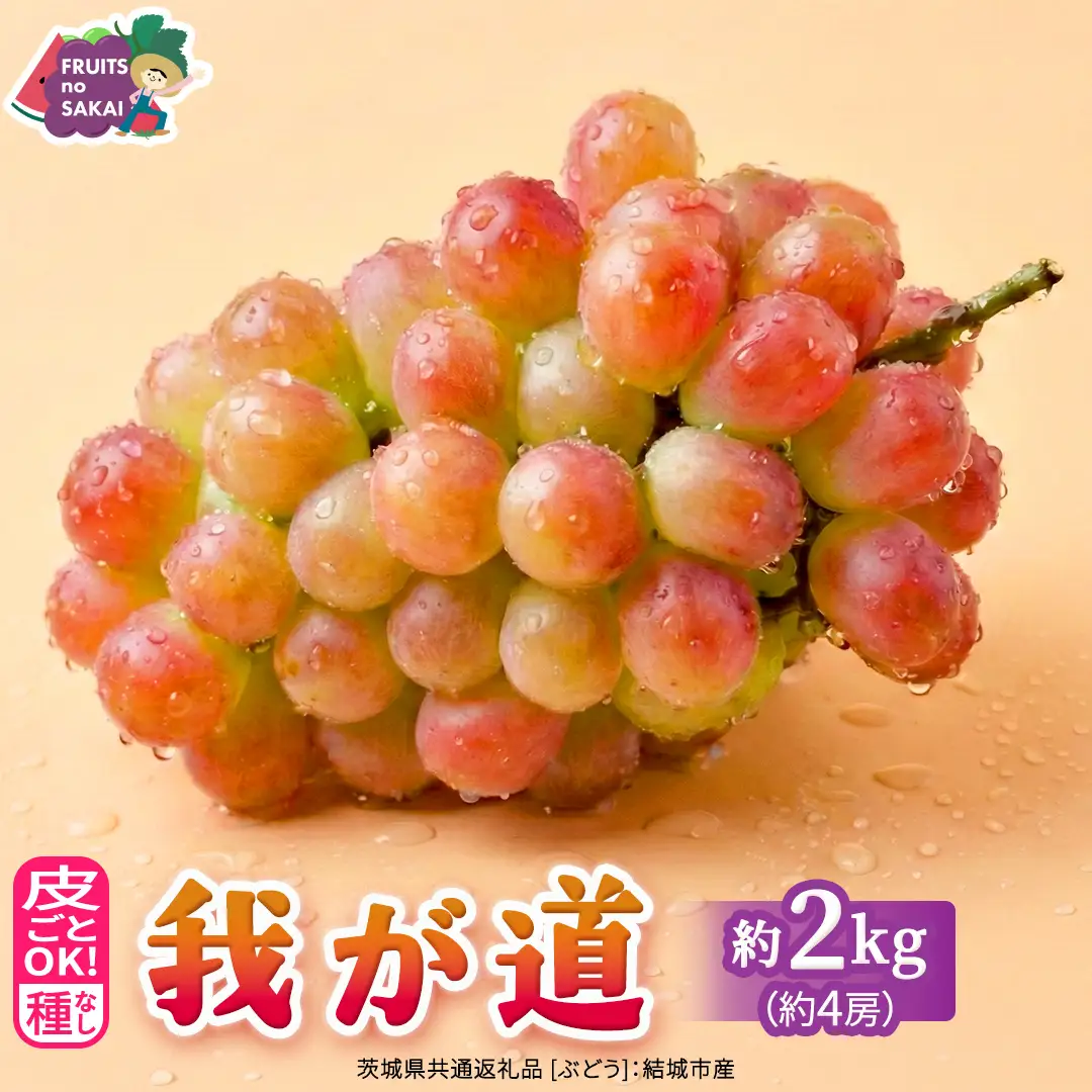 我が道 約2kg （約4房）【2026年8月より発送開始】（茨城県共通返礼品 [ぶどう]：結城市産）