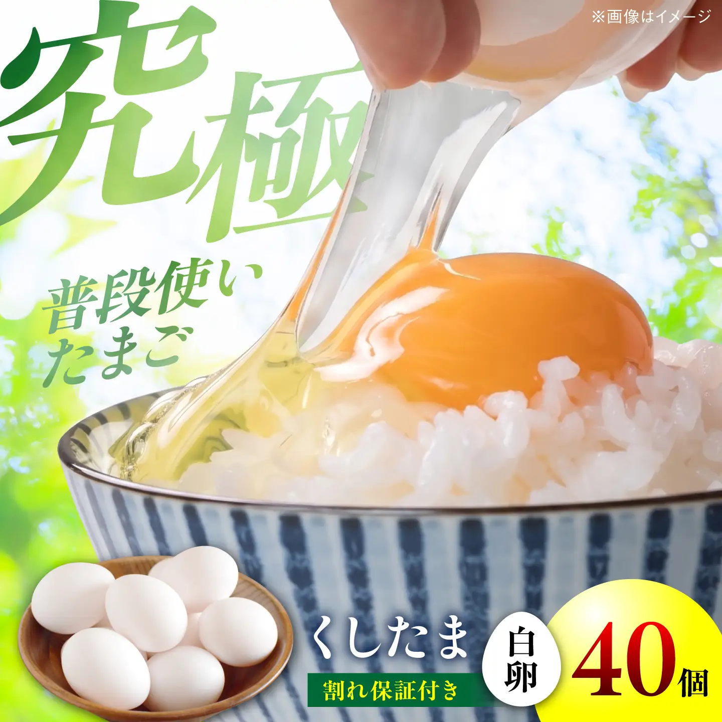くしたま白卵 40個（36個＋割れ保証4個）/ 卵 たまご 鶏卵 白卵 / 稲沢市 / 櫛田養鶏場[BMAY005]
