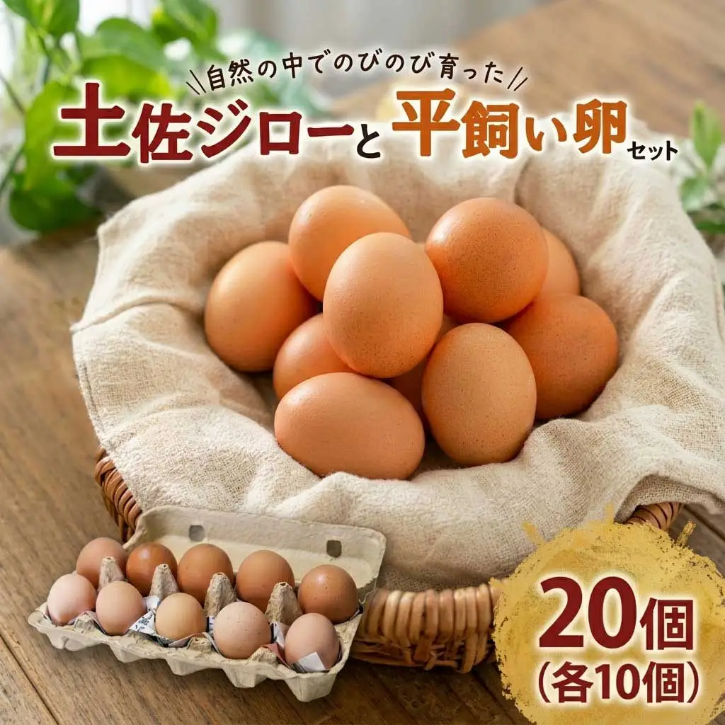 【土佐ジローの卵と平飼い卵 セット】 計20個(各10個)
