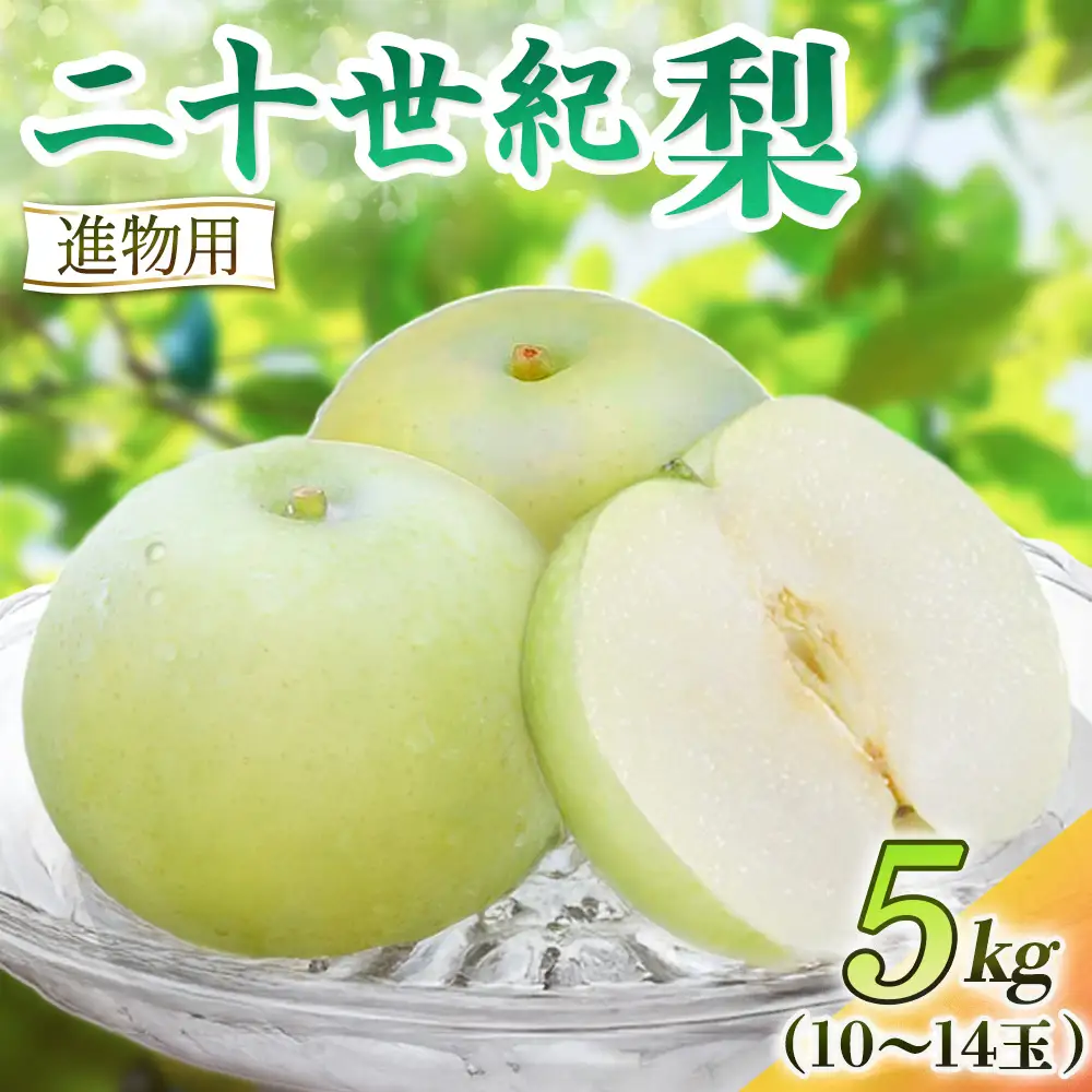 二十世紀梨【進物】5kg（岸田秀果園） 鳥取 梨 果物 フルーツ 和梨 二十世紀梨 20世紀梨 人気 甘い 進物 贈答用