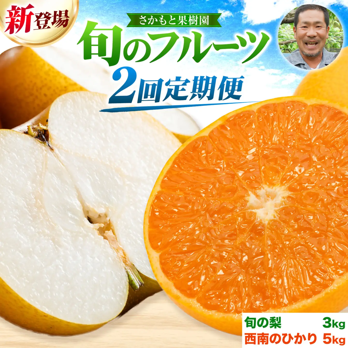 フルーツ 定期便 旬の梨 3kg 西南のひかり 5kg 2回定期便 さかもと果樹園《梨：8月中旬-10月上旬頃出荷 みかん：12月中旬-12月末頃出荷》