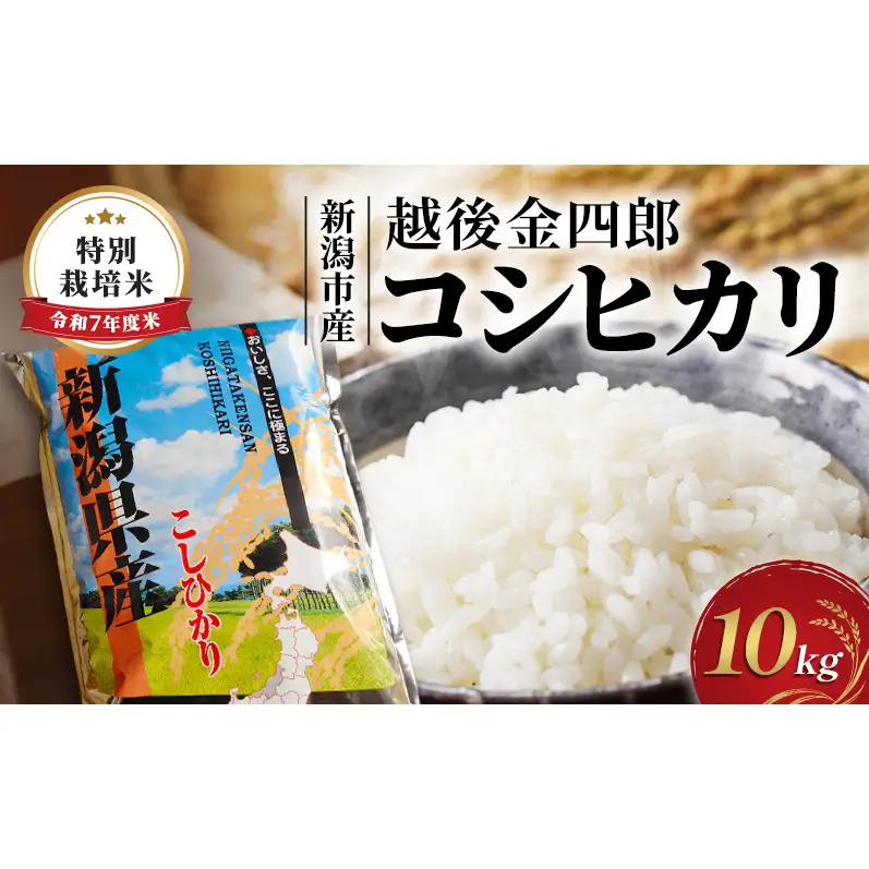 令和7年度米 新潟市産 越後金四郎コシヒカリ（特別栽培米）10kg