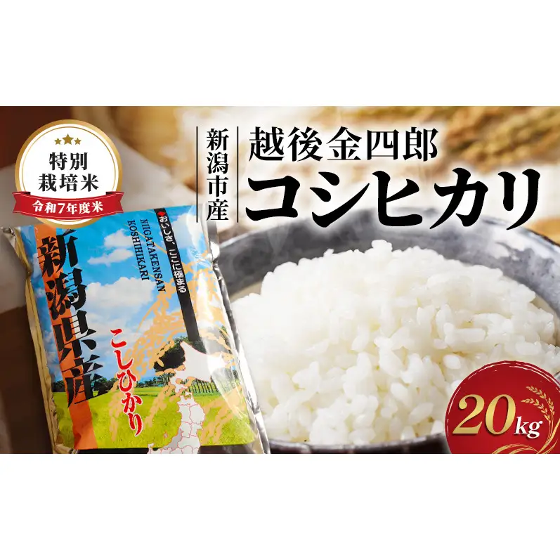 令和7年度米 新潟市産 越後金四郎コシヒカリ（特別栽培米）20kg