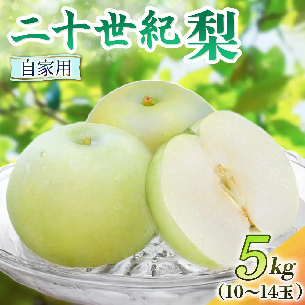 二十世紀梨【自家用】5kg（岸田秀果園） 鳥取 梨 果物 フルーツ 和梨 二十世紀梨 20世紀梨 人気 甘い 自家用 産地直送