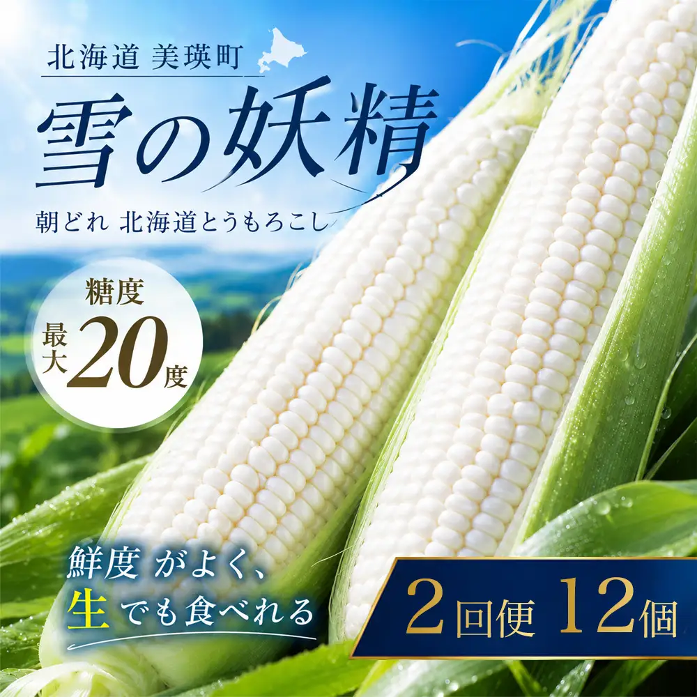 【先行予約】とうもろこし 雪の妖精 12本 2回 定期便 とうもろこし