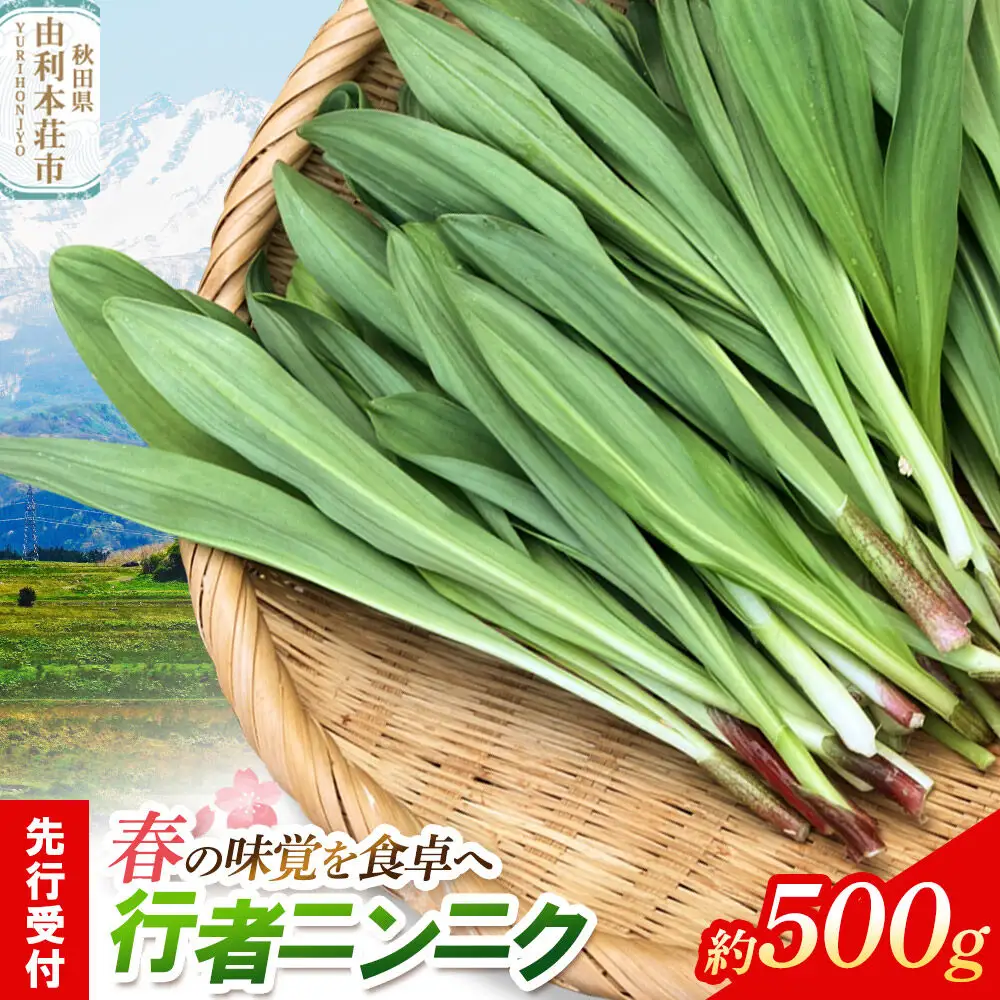 《先行受付》行者ニンニク 約500g