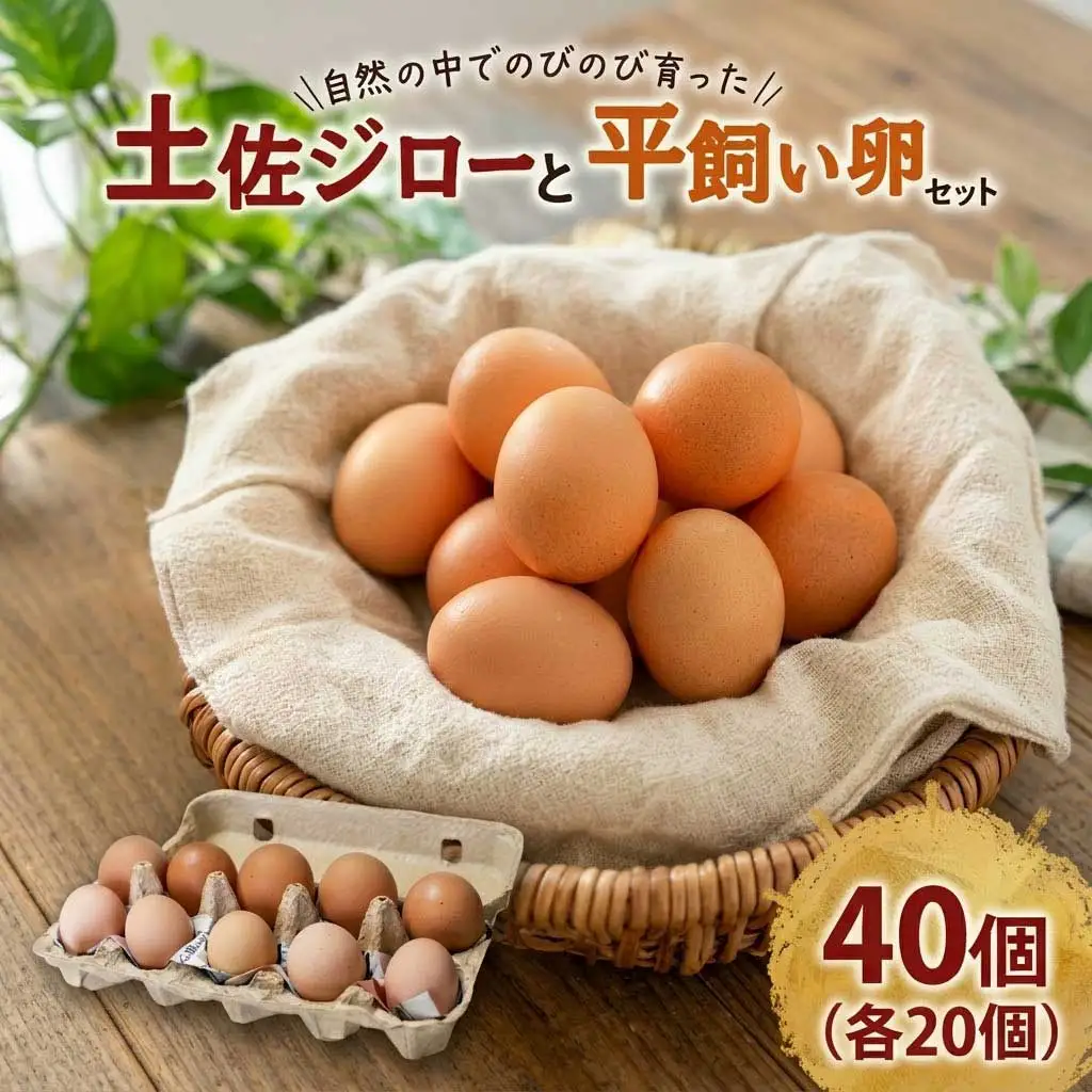 【土佐ジローの卵と平飼い卵 セット】 計40個(各20個)