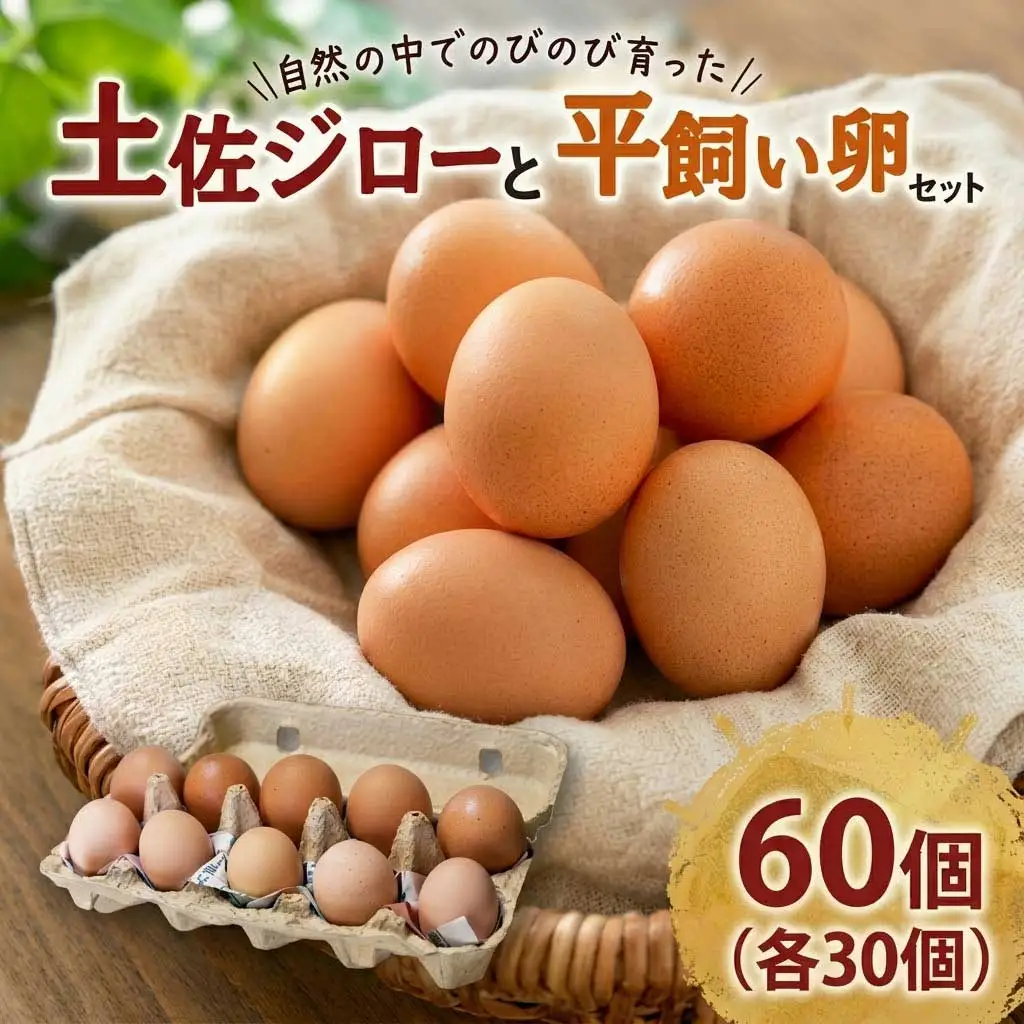 【土佐ジローの卵と平飼い卵 セット】 計60個(各30個)