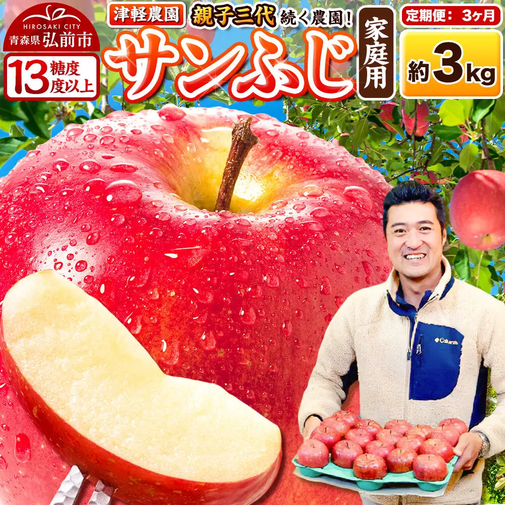【27年1月～発送】《定期便3ヶ月》りんご  サンふじ【家庭用】約3kg 8～12玉程度【糖度13度以上】津軽農園