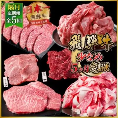 【2ヵ月毎定期便】飛騨牛少なめ定期便 計2.1kg【冷蔵便】A4～A5 BBQ・焼肉・ステーキ全5回【配送不可地域：離島】【4088353】