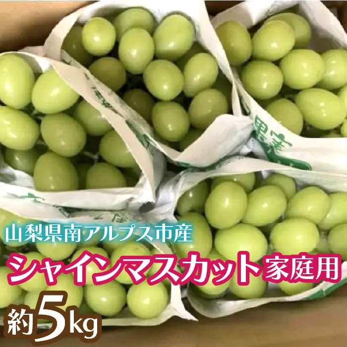 ＜2026年発送先行予約＞シャインマスカット (新鮮直送・家庭用5kg)  ALPCZ019
