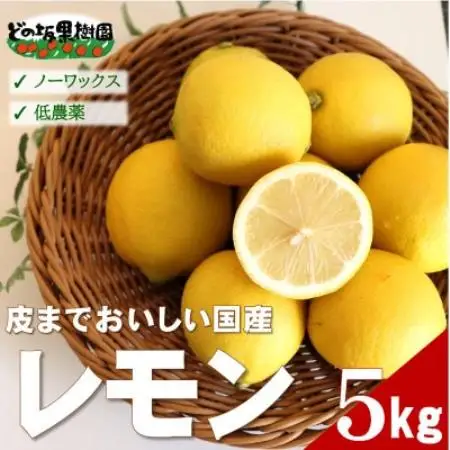【ノーワックス】国産 紀州 レモン 約5kg(サイズおまかせ)【1752471】
