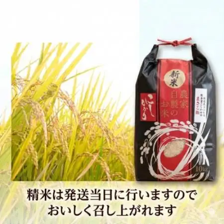 令和8年産　館林市産こしひかり精米10kg【1738447】