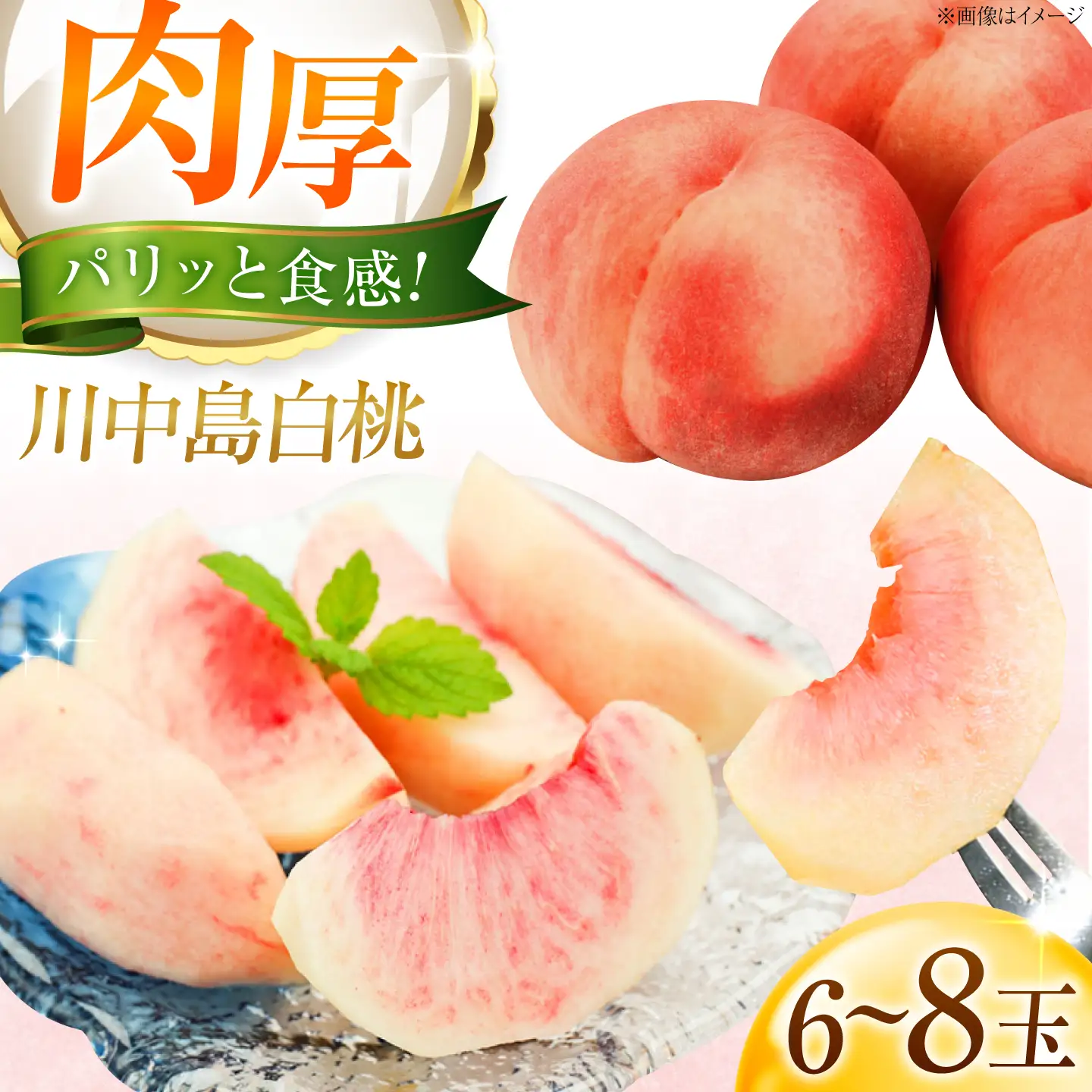 【先行予約】川中島白桃 6〜8玉入り 2026年8月〜発送 BKAD117 桃