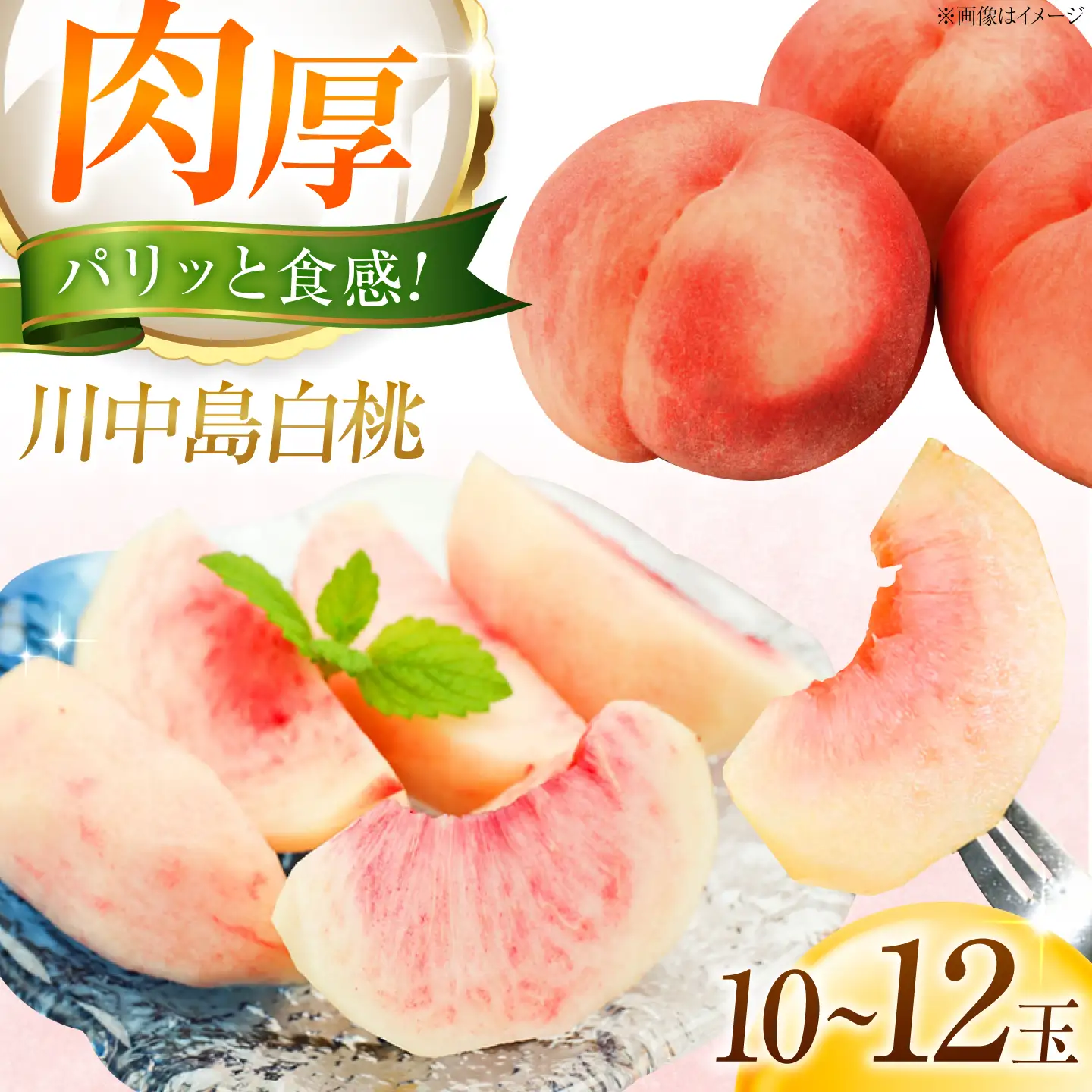【先行予約】川中島白桃 10〜12玉入り 2026年8月〜発送 BKAD118 桃