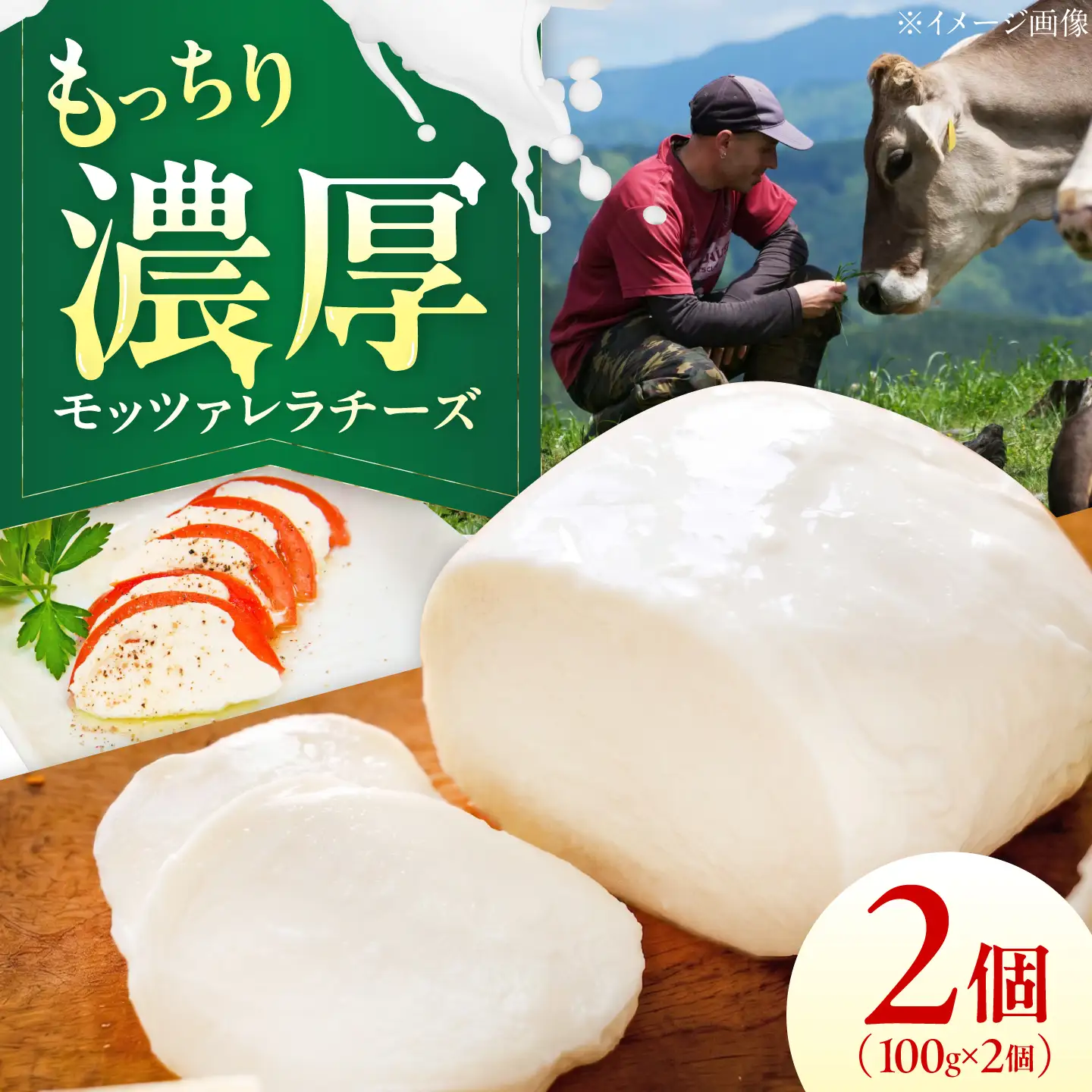 山地放牧酪農ミルクのモッツァレラチーズ 2個セット BKAH006 チーズ