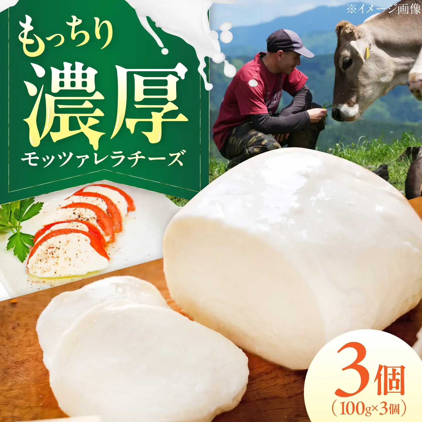 山地放牧酪農ミルクのモッツァレラチーズ 3個セット BKAH007 チーズ
