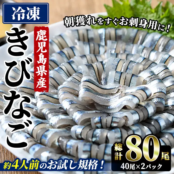 鹿児島県産！阿久根のきびなごお刺身セット (計80尾/40尾×2パック) 魚介類 冷凍 海鮮 魚 きびなご キビナゴ 刺身 さしみ 刺し身 青魚 子魚 小分け 阿久根市産 国産 定期便 お試し 【椎木水産】akn054-16