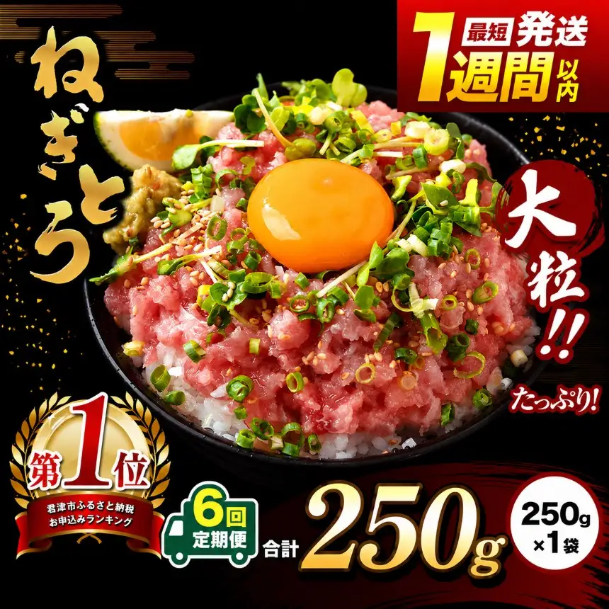 【定期便 6ヶ月】【 簡易包装 】ネギトロ 鮪 250g×１袋 | まぐろのたたき ねぎとろ 清幸丸水産 君津市