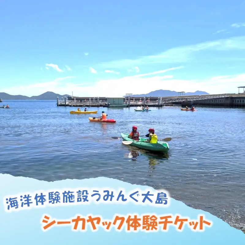 海洋体験施設うみんぐ大島 シーカヤック体験1名様分【(株)むなかた大島】_HA2024 体験 チケット 福岡県宗像市 宗像市 福岡 宗像