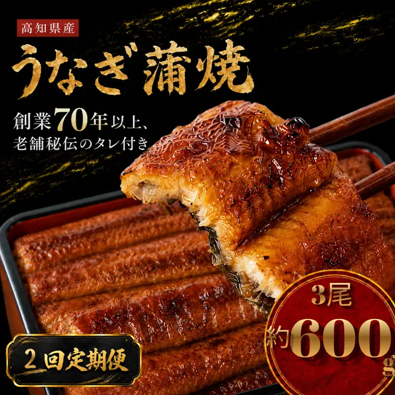 【2回 定期便】 国産 うなぎ 蒲焼 3尾 約600g