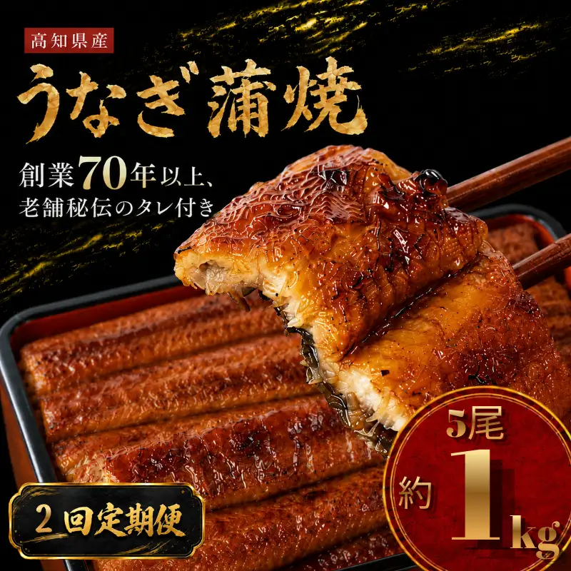【2回 定期便】 国産 うなぎ 蒲焼 5尾 約1kg