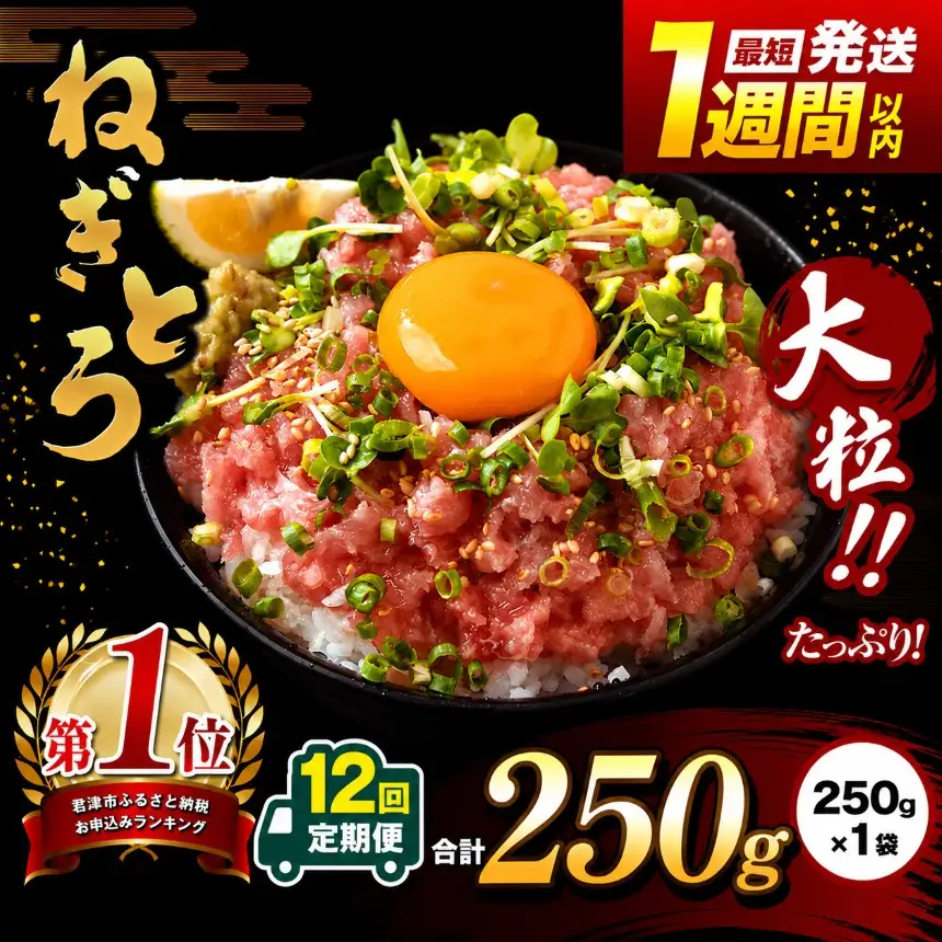 【定期便 12ヶ月】【 簡易包装 】ネギトロ 鮪 250g×１袋 | まぐろのたたき ねぎとろ 清幸丸水産 君津市