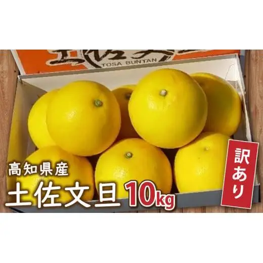 訳あり 土佐文旦 【 10kg 】 202７年１月下旬より発送