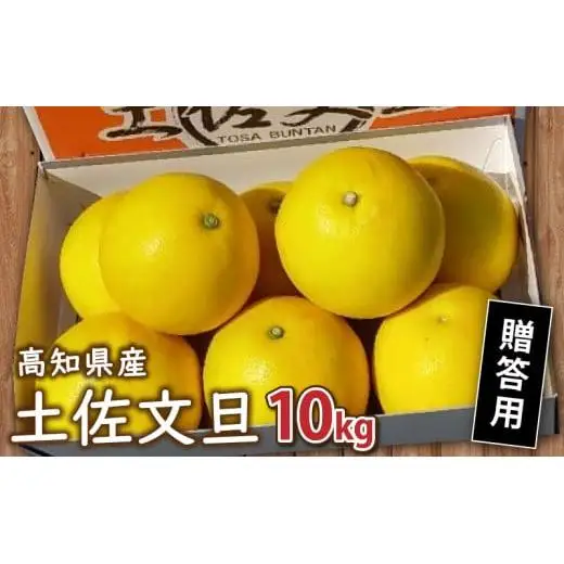 贈答用 土佐 文旦 10kg 【 202７年１月下旬より発送 】 