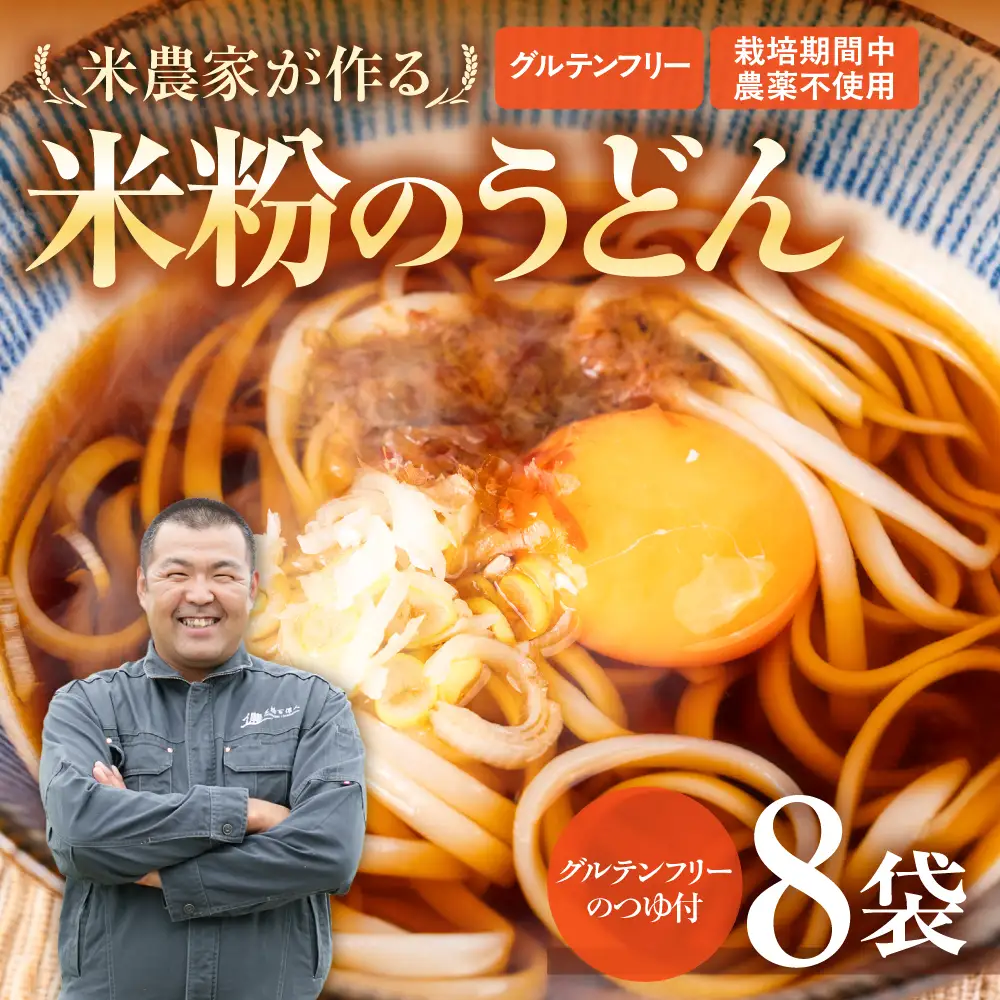 米粉のうどん 8袋 (グルテンフリーめんつゆ付)　米粉うどん めん 麺 お取り寄せ グルメ 主食 米粉麺 送料無料 愛知県 豊橋市